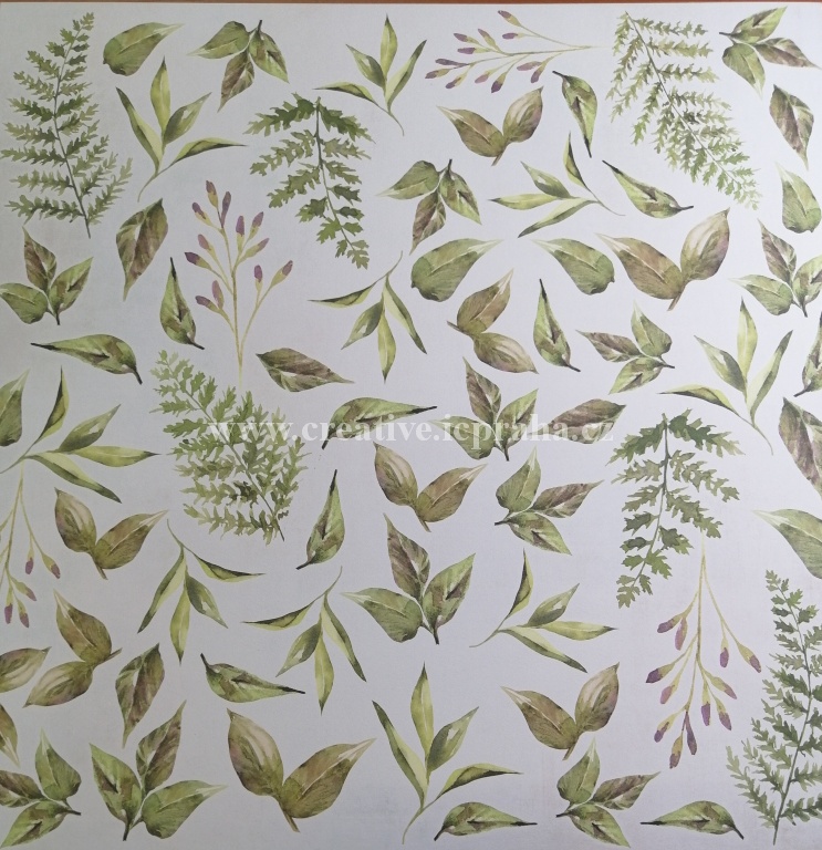 ScrapAndMe Listy 9 (SpringPur) 30.5x30.5cm 250g/m2